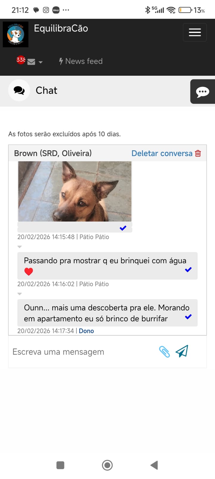 Chat